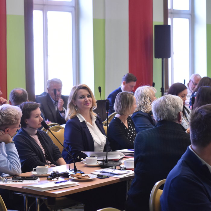SIDA - konferencja kończąca projekt