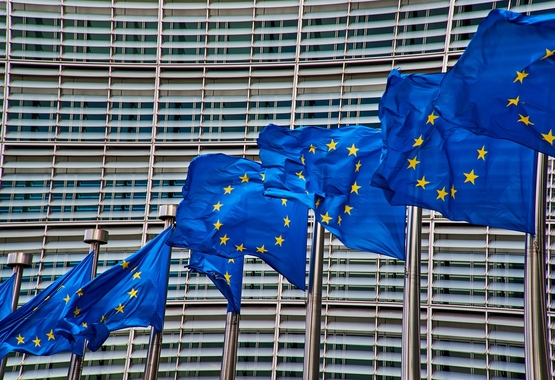 Opinia OPZZ do Zaleceń Rady UE