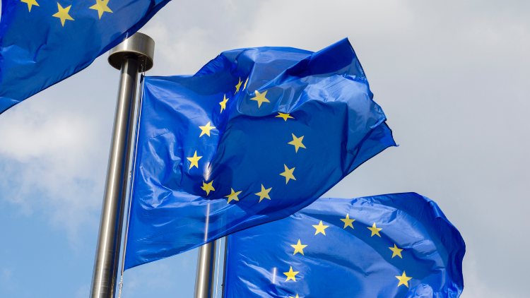 Obraz główny sekcji Aktualności