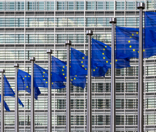 Obraz Aktualności o tytule Nasz wspólny głos w Brukseli: Domagamy się stałej ochrony dla polskich pracowników za granicą