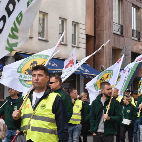 Obraz główny aktualności o tytule Manifestacja pracowników spółek zależnych i oddziałów PGE Górnictwo i Energetyka Konwencjonalna S.A. 