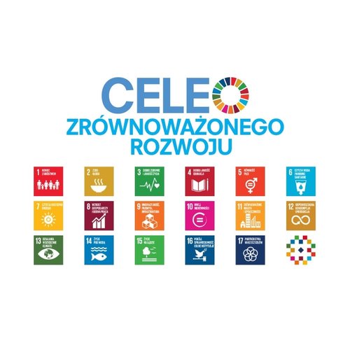 Obraz główny aktualności o tytule HLPF ONZ 2023: bez godnej pracy nie ma zrównoważonego rozwoju! 