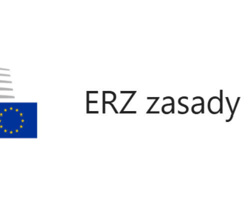 Obraz główny aktualności o tytule Kurs online - ERZ: zasady gry 