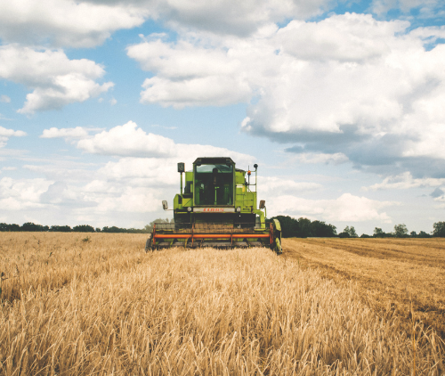 Obraz główny aktualności o tytule Brak dobrej woli KOWR spowoduje utratę pracy przez ponad połowę dotychczasowej załogi spółki Top Farms Głubczyce 