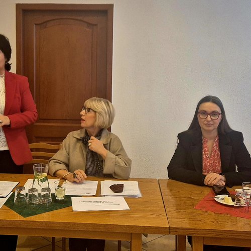 Obraz główny aktualności o tytule Zespół ds. równości dyskutuje o przeciwdziałaniu przemocy 