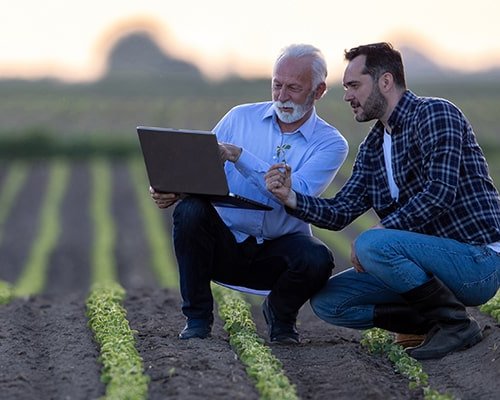 Obraz główny aktualności o tytule Projekt „INFO-RIGHTS” 