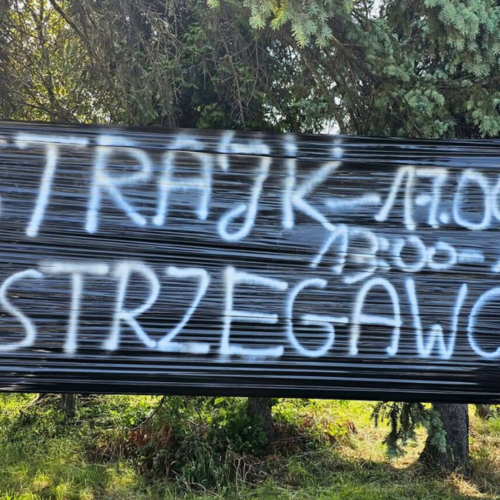 Obraz główny aktualności o tytule Strajk ostrzegawczy w Marelli Sosnowiec 